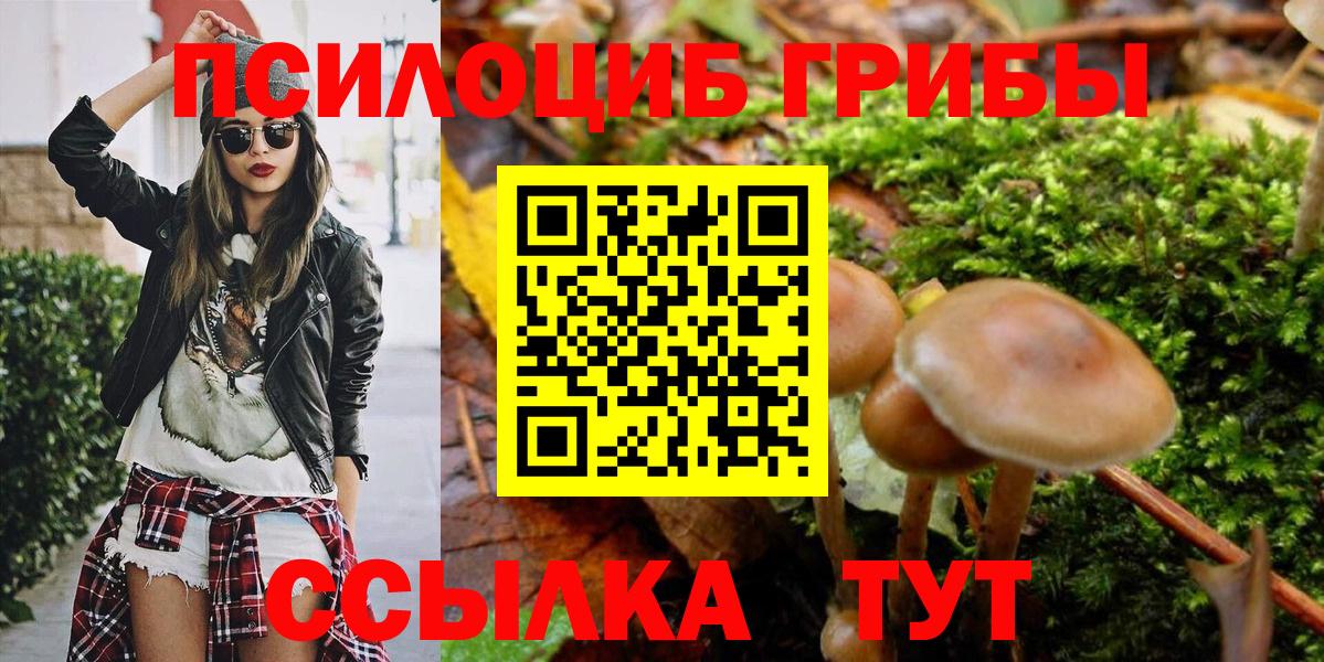 Псилоцибиновые грибы прущие грибы Кизляр