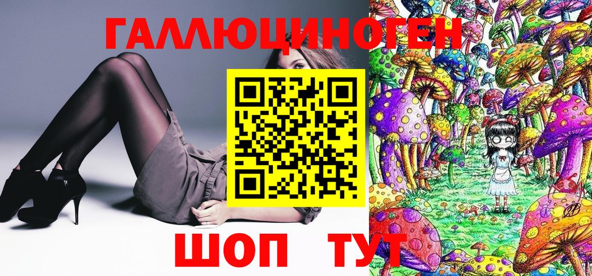 Кизляр  Псилоцибиновые грибы мухоморы  Вход с VPN 